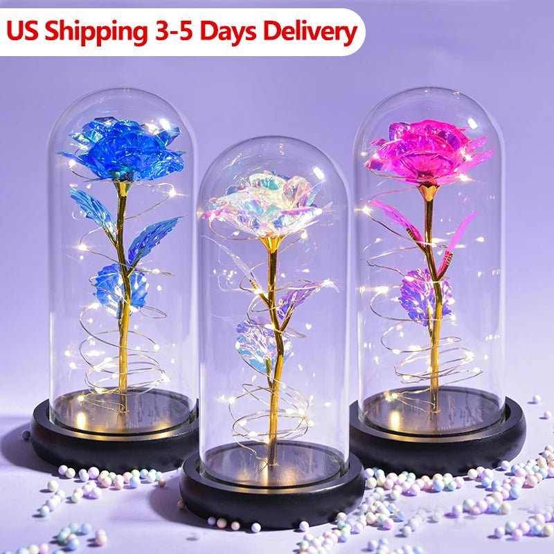 Dropshipping Galaxy Rose Eternal Flowers Preserved Rose In Glass Dome Christmas Valentine Gifts for Her US 3-5 Days Delivery