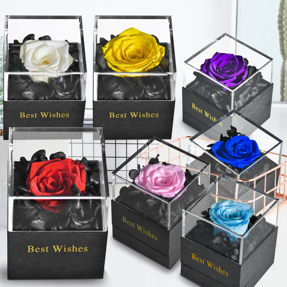 Dropshipping Galaxy Rose Eternal Flowers Preserved Rose In Glass Dome Christmas Valentine Gifts for Her US 3-5 Days Delivery