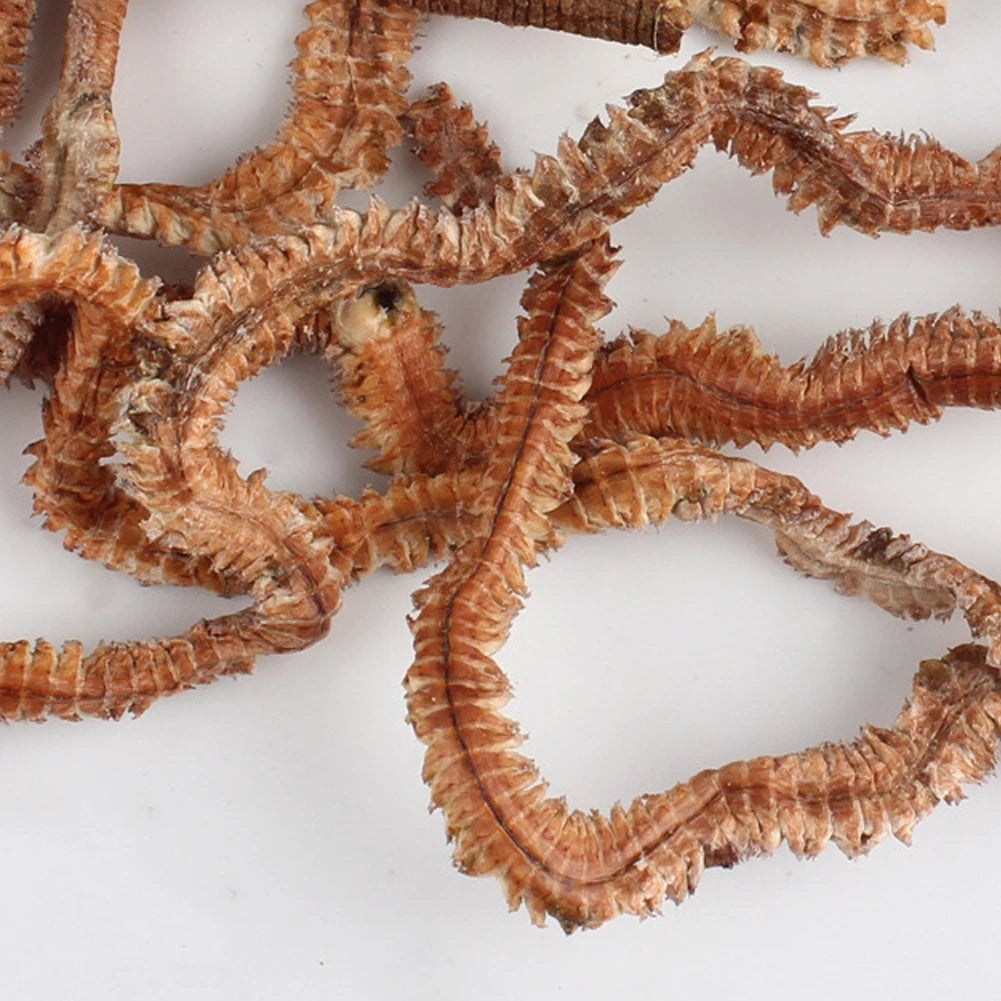 1-10Pack Lifelike Dry Lugworm Sandworms Artificial Sea Worms Soft Fishing Lures