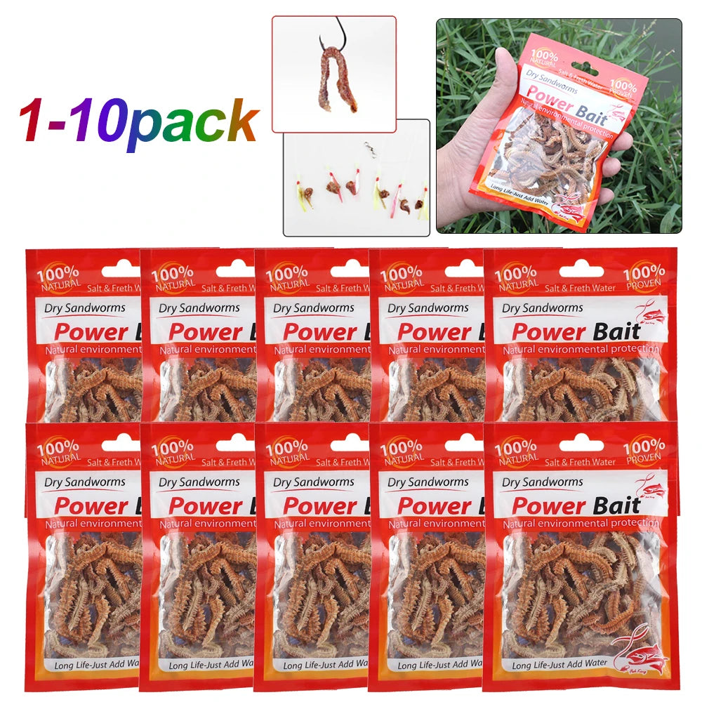 1-10Pack Lifelike Dry Lugworm Sandworms Artificial Sea Worms Soft Fishing Lures