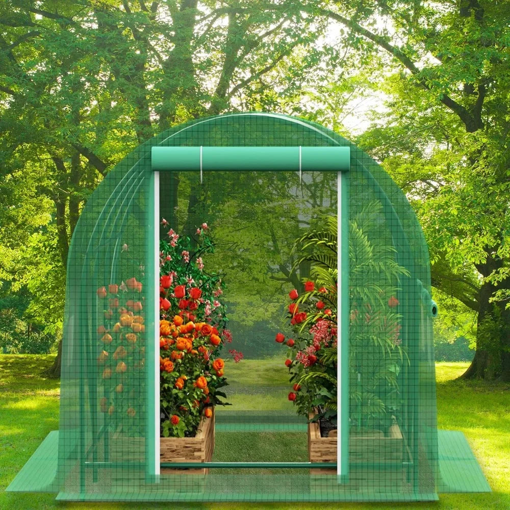 Greenhouses for Outdoors Winter Heavy Duty Large Walk in Tunnel Green House Portable for Plants, Reinforced Frame, Free Shipping